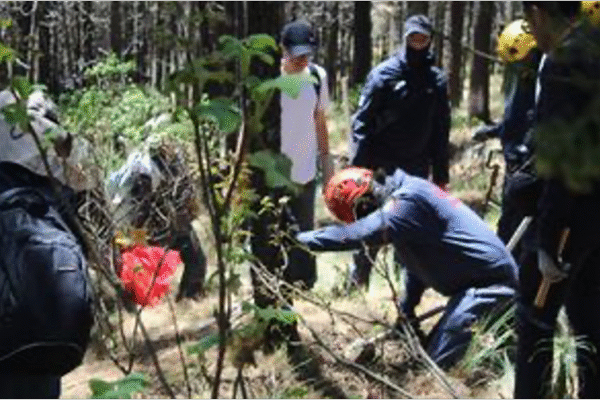 Búsqueda masiva en el Ajusco podría revelar más de 100 restos humanos