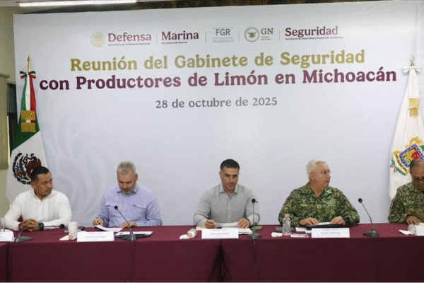 Gabinete de seguridad llega a Apatzingán tras asesinato de líder limonero